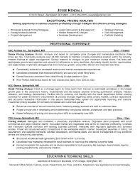 Logistics Analyst Resume   Free Resume Example And Writing Download