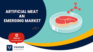 is lab grown meat the future of the