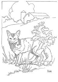 10 Forest Animal Coloring Pages The