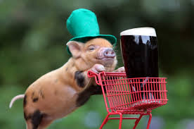 Free download cute pig shopping 4k cute ...