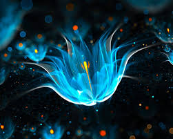 blue flower abstract wallpaper for