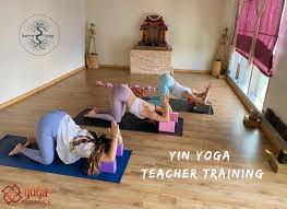 yin yoga teacher training yoga academy