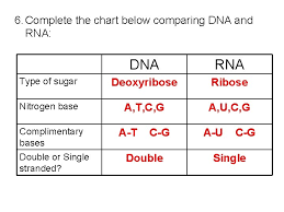 Characteristic mitosis meiosis importance of process in the life. Biology Worksheet Unit 3 Review 1 Define The