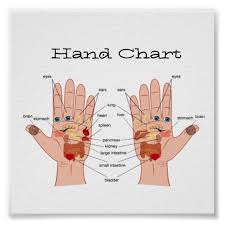 Hand Reflexology Chart