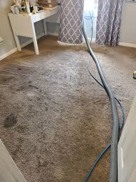 gallery superior steam carpet cleaning