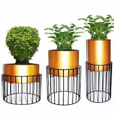 Metal Wire Based Planter Stand