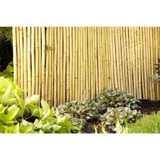 Natural Bamboo Fence 4477405