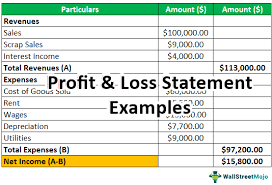 profit and loss statement exles p