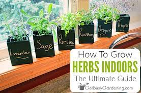 how to grow herbs indoors the ultimate
