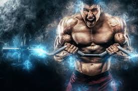 bodybuilding images browse 666 503