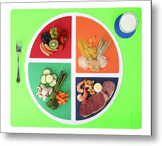 Food Plate Nutrition Chart Split Into Four Wedges Metal Print