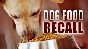 fda recalls several brands of dry dog