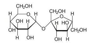 structural formula of sucrose