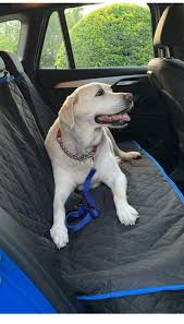 Luxury Dog Car Seat Cover Vivki