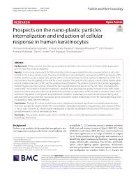 prospects on the nano plastic particles
