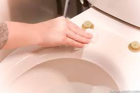 Urine Smell Hides In Your Bathroom