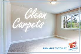 best carpet cleaning services