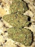 Image result for Bubba Kush