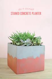 Diy Stained Concrete Planter Persia Lou
