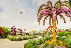 miracle garden images browse 157