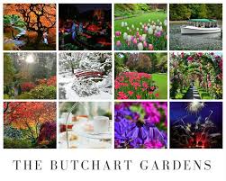 butchart gardens victoria a trere of