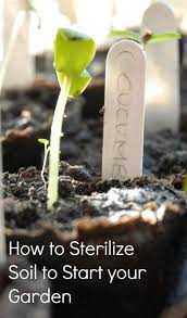 How To Sterilize Soil Seed Starting