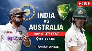 Ot there are over 900 different species of cricket, but the most common types found in. India Vs Australia 4th Test Day 4 Highlights India Need 324 Runs To Win Sports News The Indian Express