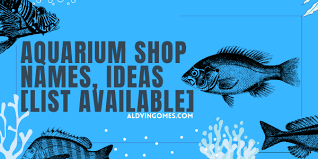 Everyone who comes into your home is going to ask what your fish is called, and this problem can. Aquarium Shop Names 100 Best Names For Fish Store Business