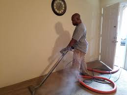 residential carpet cleaning safe dry
