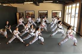 Kansas City Martial Arts Millennium Academy Kansas City