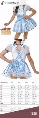 16 Best Dorothy Costume Images Costumes Wizard Of Oz
