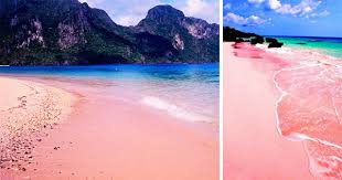 If you are looking for some of the philippine's best beaches, cebu has some amazingly gorgeous white sandy. Two Amazing Pink Sand Beaches In The Philippines