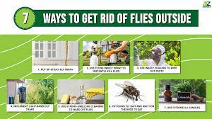 How To Get Rid Of Flies Outside