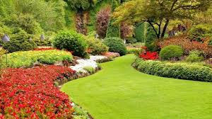 7 Diffe Types Of Gardens Names And
