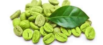amazing benefits of green coffee beans
