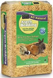 8 Recommended Hamster Bedding Updated