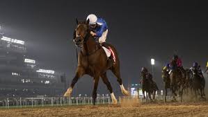 2019 Dubai World Cup By The Numbers Americas Best Racing