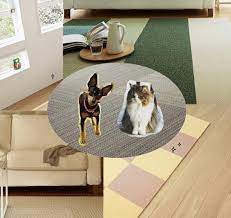 best pet carpet ing guide expert