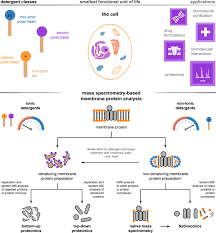 Membrane Proteomics