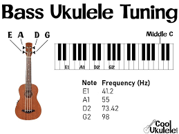 Note, that the top g string is actually higher than the c string below it. What Are The Notes On A Ukulele Tuning Fretboard Notes On Staff Etc Coolukulele Com