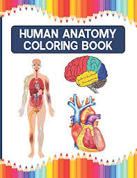Human muscles coloring anatomy muscle pages body 9ipboxb9t answers and biology corner. 40 Best New Anatomy Books To Read In 2021 Bookauthority