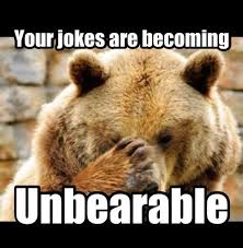 bear humour