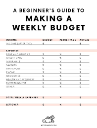 A Beginners Guide To Making A Budget For People Who Cant