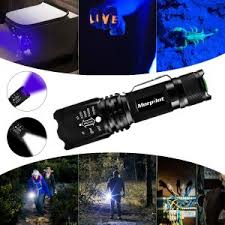 Top 10 Best Uv Black Light Flashlights For Scorpions And Pets
