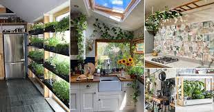 56 Indoor Garden In Kitchen Ideas