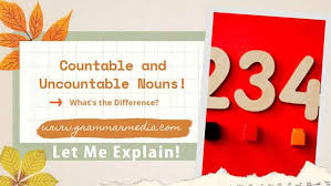 countable and uncountable nouns what