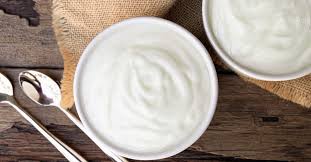 homemade crockpot yogurt recipe slow