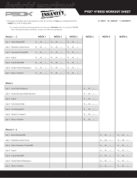 p90x insanity hybrid workout sheet