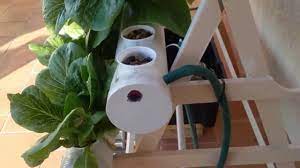 hydroponics for beginners you