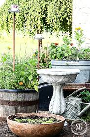 Container Gardening